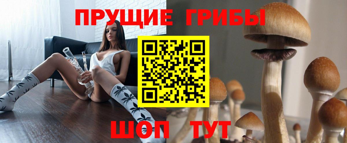 Псилоцибиновые грибы прущие грибы Менделеевск